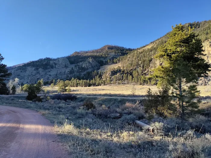 Big Bend Sheep Viewing Area Picture 6