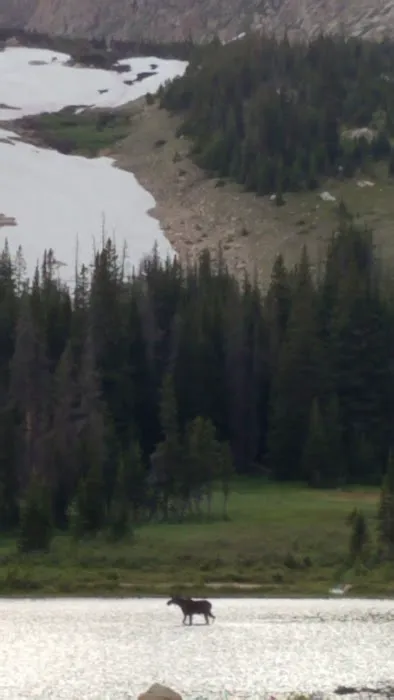 Lost Lake Picture 4