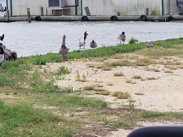 Almost Paradise RV Park LLC Picture 9