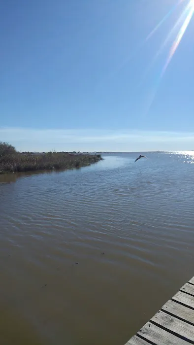 Almost Paradise RV Park LLC Picture 1