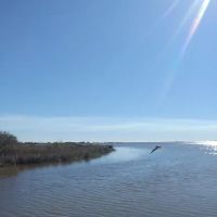 Almost Paradise RV Park LLC ico