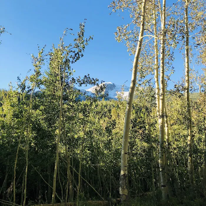Weller Campground Picture 9