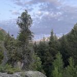 Lincoln Creek Dispersed Campground