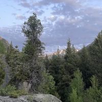 Lincoln Creek Dispersed Campground ico
