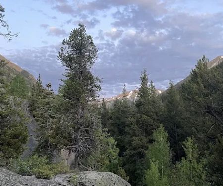 Lincoln Creek Dispersed Campground
