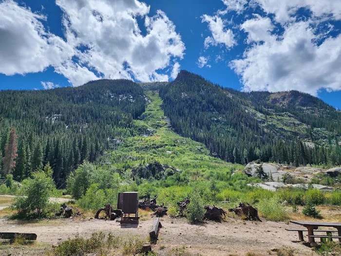Lincoln Creek Dispersed Campground Picture 2
