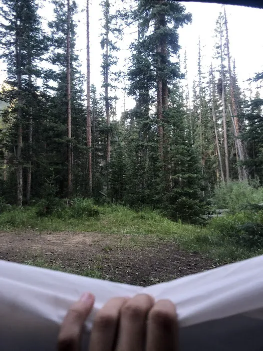Lincoln Creek Dispersed Campground Picture 3