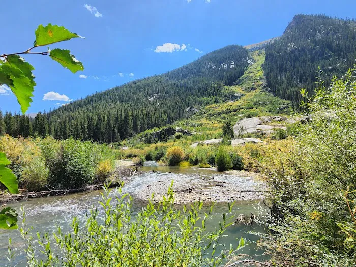 Lincoln Creek Dispersed Campground Picture 7