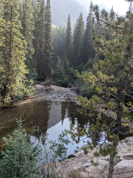 Lincoln Creek Dispersed Campground Picture 8