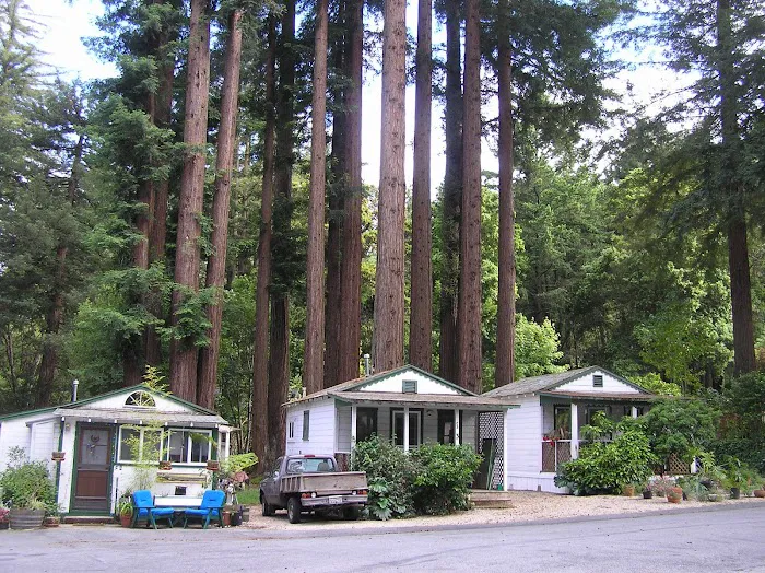 Sequoia Villa Picture 3