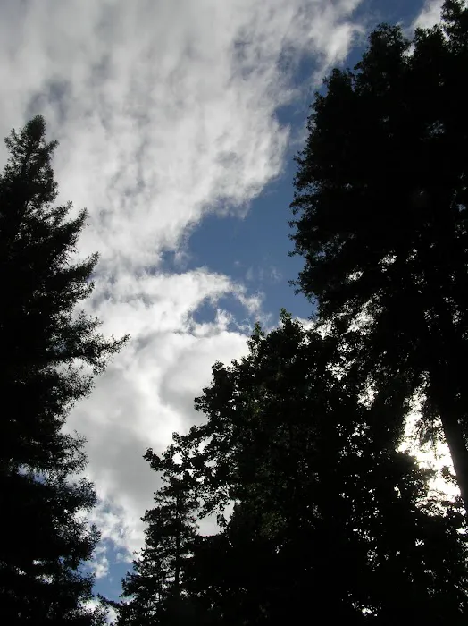 Sequoia Villa Picture 1