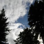 Sequoia Villa