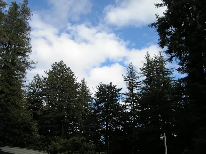 Sequoia Villa Picture 5