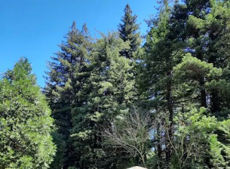 Redwood Resort RV Park