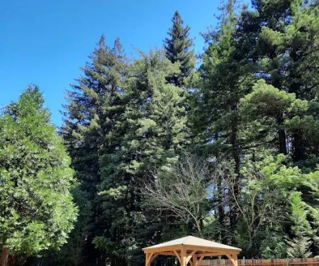 Redwood Resort RV Park