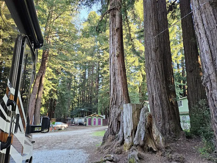 Redwood Resort RV Park Picture 3