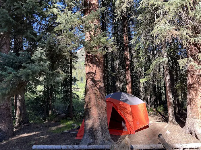 Gothic Campground - Gunnison RD Picture 5