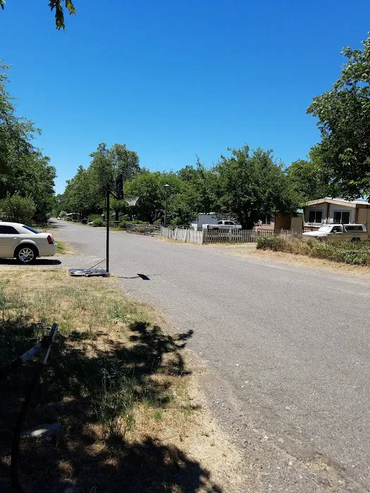 Amberwood Mobile Home Park Picture 6