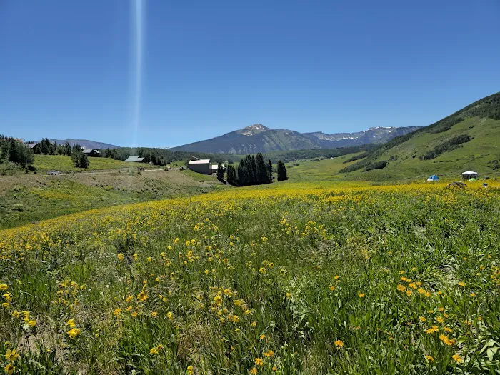 Mt Crested Butte Campground Picture 3
