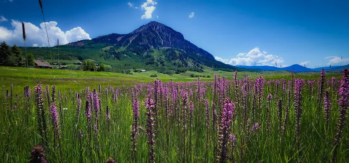Mt Crested Butte Campground Picture 5