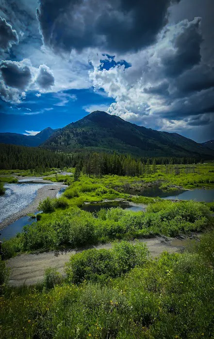 Mt Crested Butte Campground Picture 2