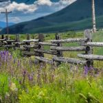 Mt Crested Butte Campground