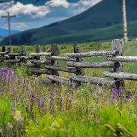 Mt Crested Butte Campground ico