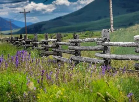 Mt Crested Butte Campground