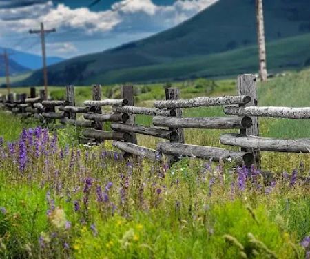 Mt Crested Butte Campground