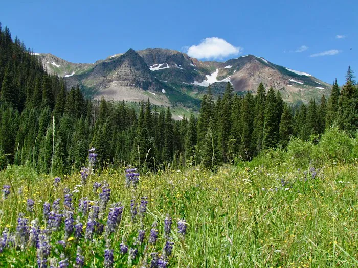 Oh Be Joyful Recreation Area Picture 4
