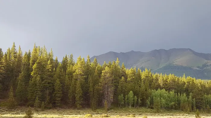 Dorchester Campground - Gunnison RD Picture 4