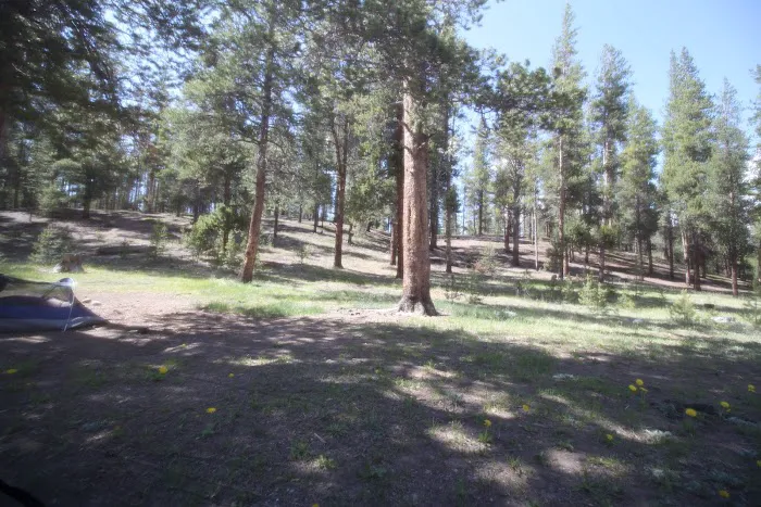 Dorchester Campground - Gunnison RD Picture 5
