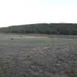 Dorchester Campground - Gunnison RD