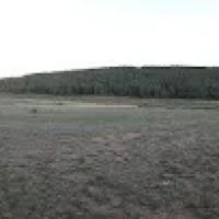 Dorchester Campground - Gunnison RD ico