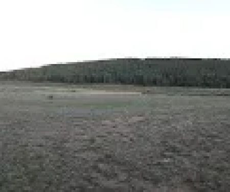 Dorchester Campground - Gunnison RD