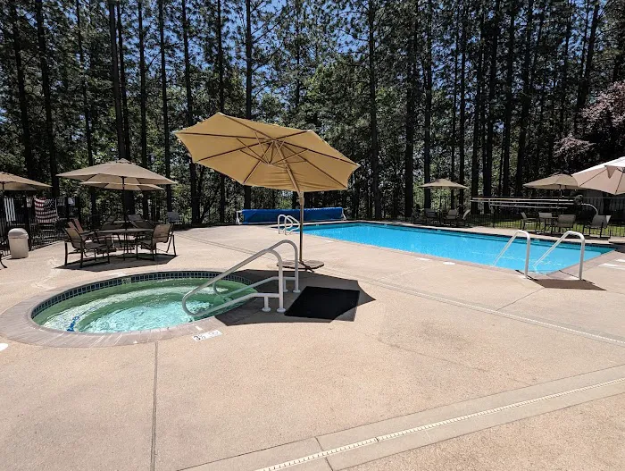 Ponderosa Pines Mobile Home Picture 4