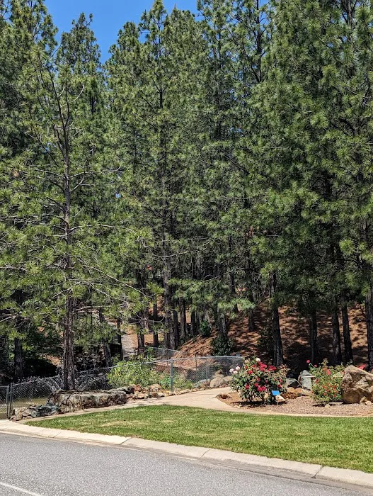 Ponderosa Pines Mobile Home Picture 5