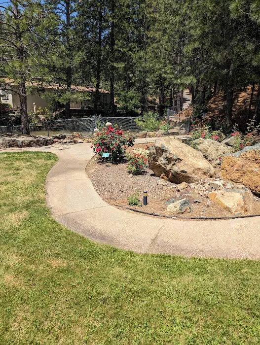 Ponderosa Pines Mobile Home Picture 2