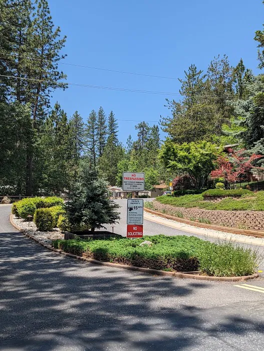 Ponderosa Pines Mobile Home Picture 7
