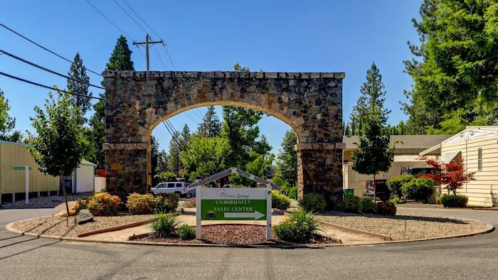 Forest Springs Picture 6