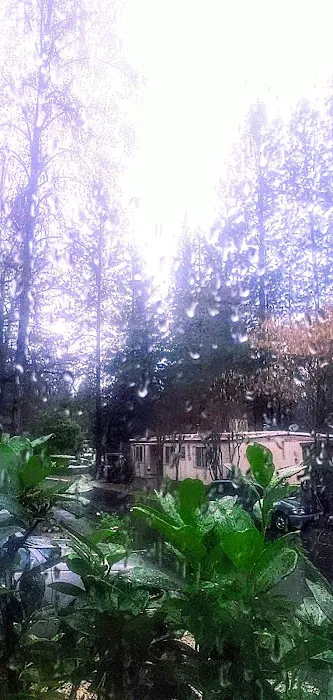 Mountain Air Mobile Park & RV Picture 1