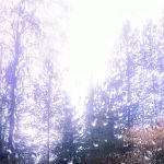 Mountain Air Mobile Park & RV