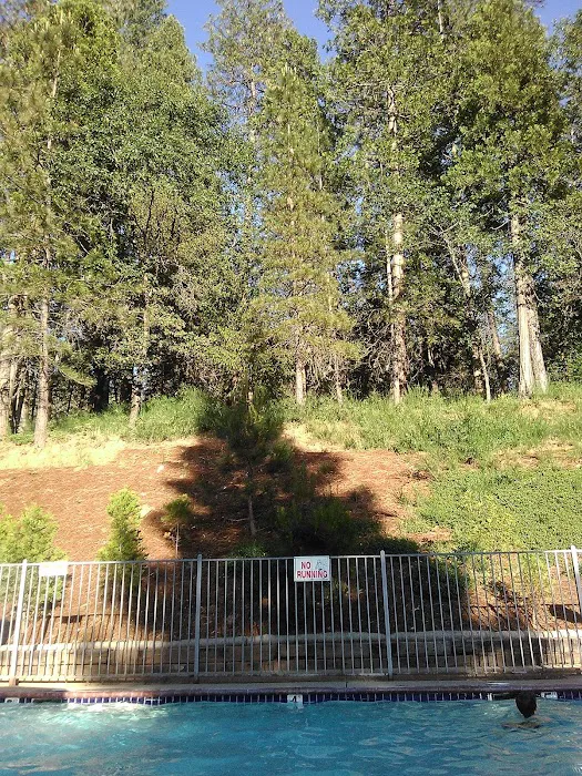 Tall Pines Mobile Estates Picture 4