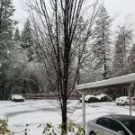 Tall Pines Mobile Estates