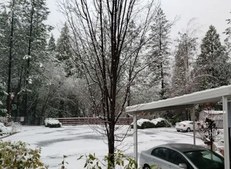 Tall Pines Mobile Estates