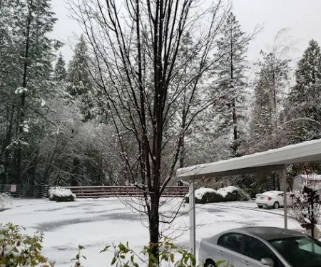 Tall Pines Mobile Estates
