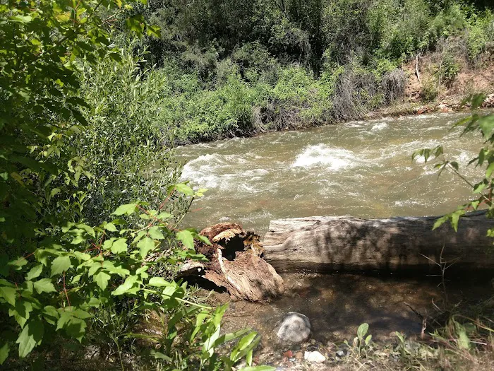 ELK CREEK CAMPGROUND Picture 5
