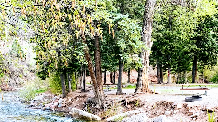 ELK CREEK CAMPGROUND Picture 10