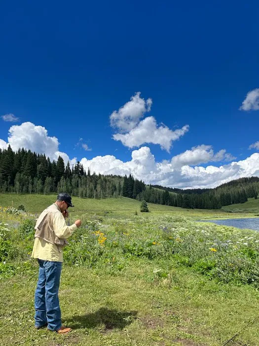 Meadow Lake Campground Picture 2