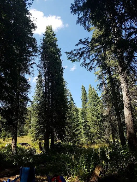 Meadow Lake Campground Picture 6